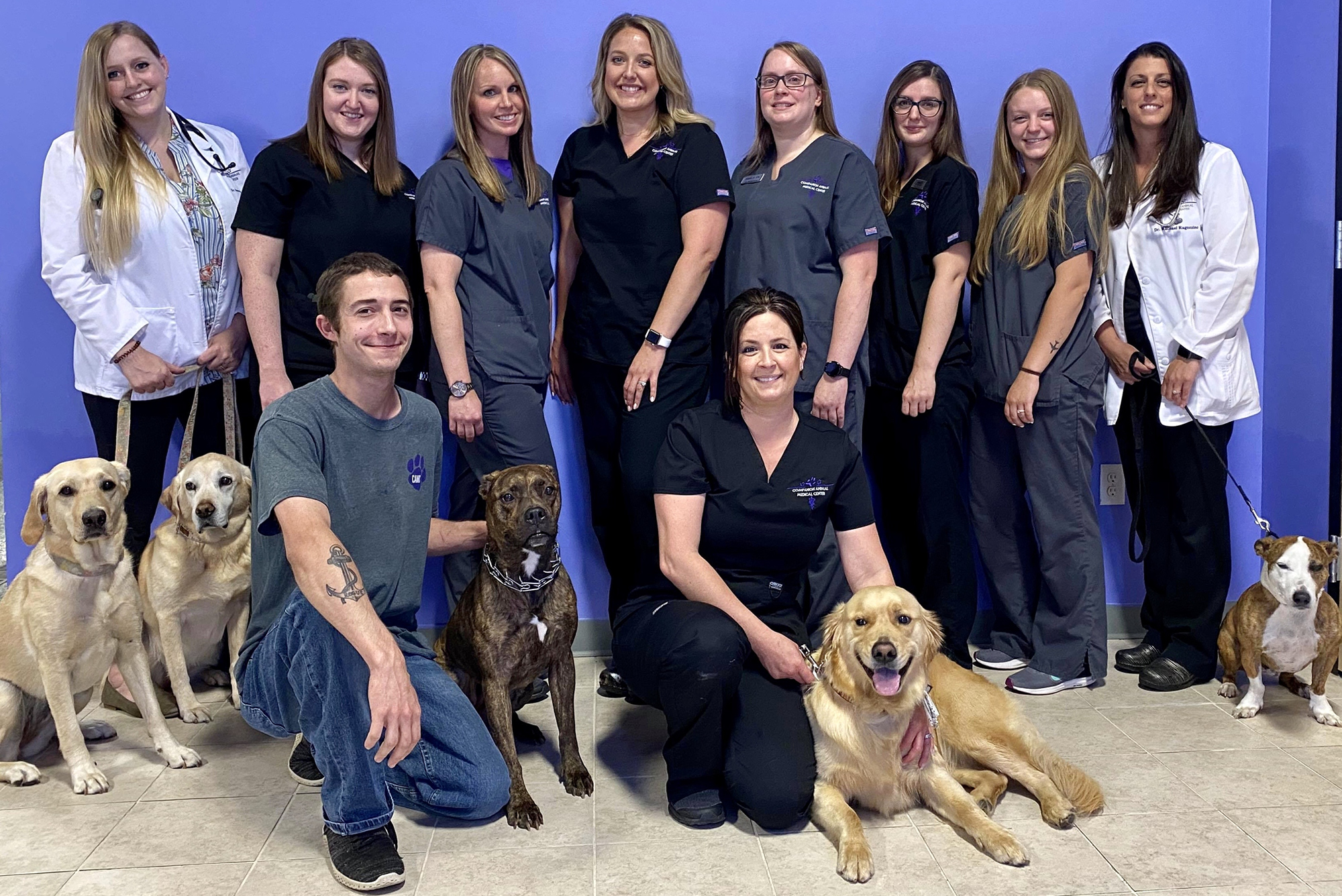 Services | Companion Animal Medical Center | Schenectady, NY